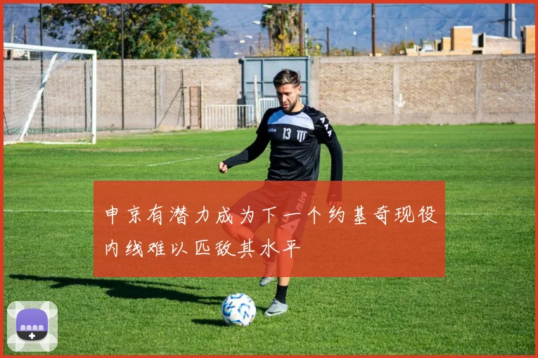 申京有潜力成为下一个约基奇现役内线难以匹敌其水平