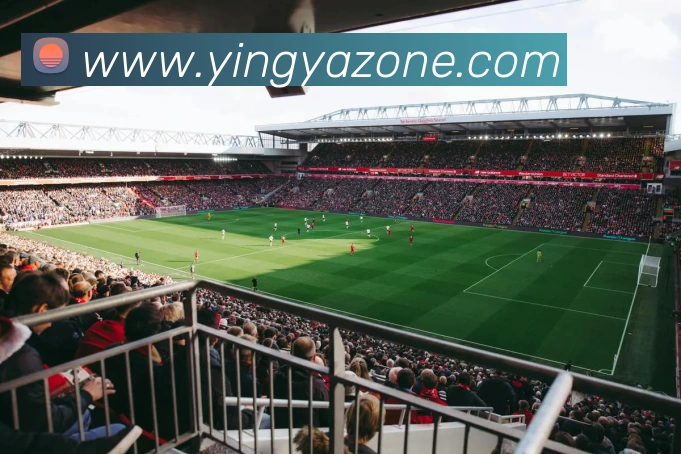 英亚官网平台APP 封面图